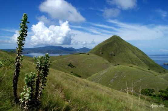 Tak Kan Pernah Setinggi Bukit